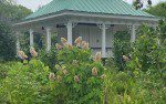 Hampton Park 